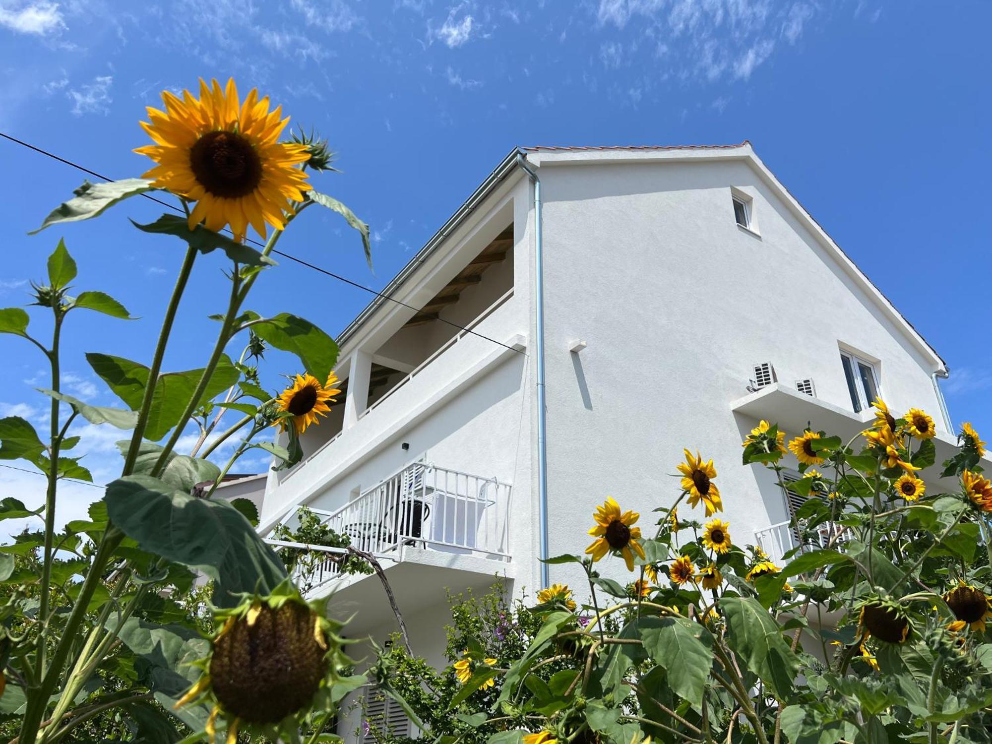 Apartments Nikola Stipisic Хвар Экстерьер фото